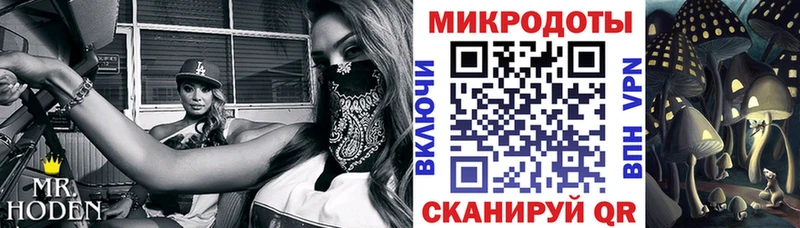 Псилоцибиновые грибы GOLDEN TEACHER как найти закладки Ардатов
